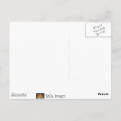 Morning Glory - carte postale (Dos)