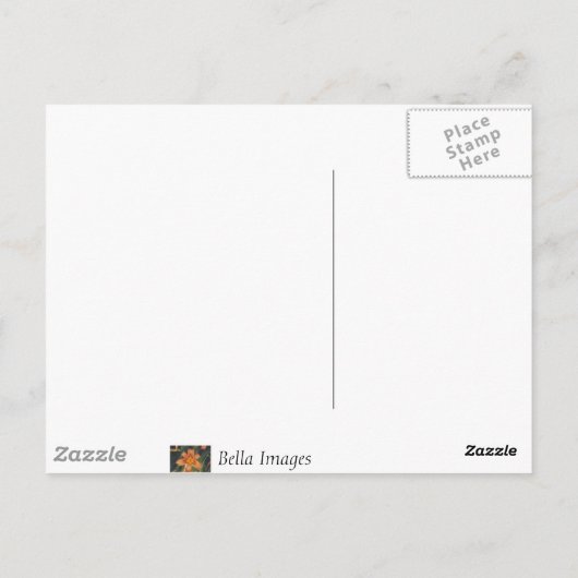 Morning Glory - carte postale (Dos)