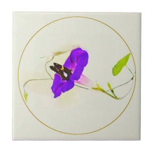 Morning Glory en Butterfly Tegeltje
