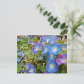 Morning Glory Flowers Briefkaart (Staand voorkant)