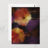 Morning Glory Flowers Briefkaart (Voorkant / Achterkant)