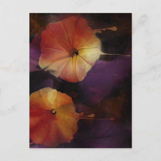 Morning Glory Flowers Briefkaart (Voorkant)