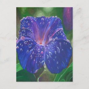 Morning Glory (Ipomoea Purpurea) Petals en Dew Dr. Briefkaart
