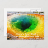 Morning Glory Pool Briefkaarten (Voorkant / Achterkant)