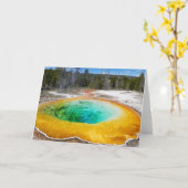 Morning Glory Pool Folded Wenskaart Kaart (Gele Bloem)