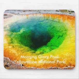 Morning Glory Pool Mousepad Muismat