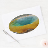 Morning Glory Pool Oval Stickers (Envelop)