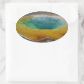 Morning Glory Pool Oval Stickers (Tas)