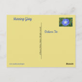 Morning Glory Post Kaart (Achterkant)