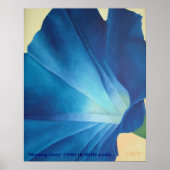 Morning Glory Poster (Voorkant)