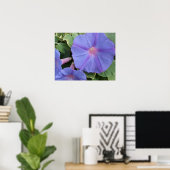 Morning Glory Poster (Thuiskantoor)