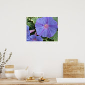 Morning Glory Poster (Keuken)