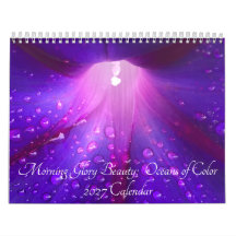 Morning Glory Schoonheid: Oceanen van Kleur 2027