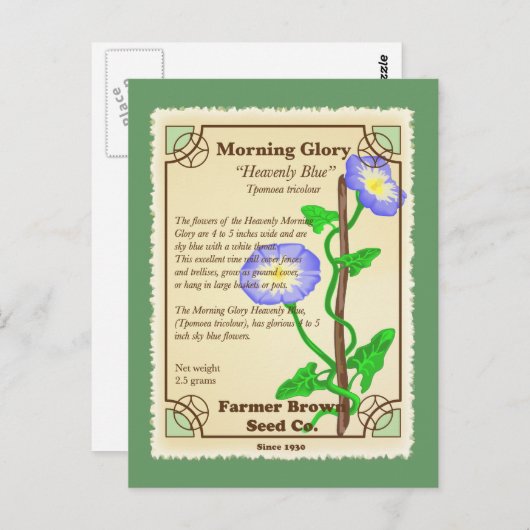 Morning Glory Seed Packet Briefkaart (Voorkant / Achterkant)