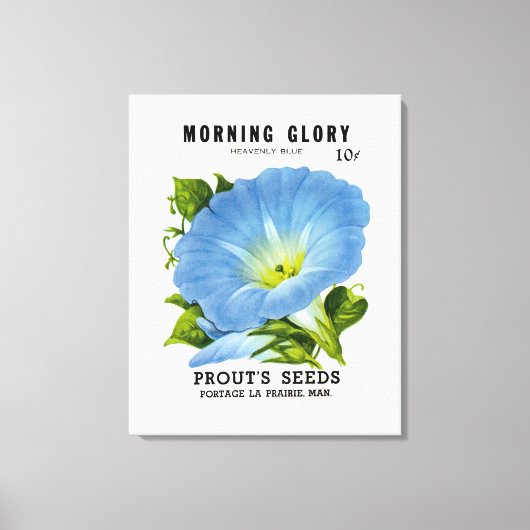 Morning Glory  Seed Packet Canvas Afdruk (Voorkant)