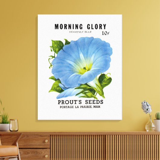 Morning Glory  Seed Packet Canvas Afdruk (Insitu (Woonkamer))