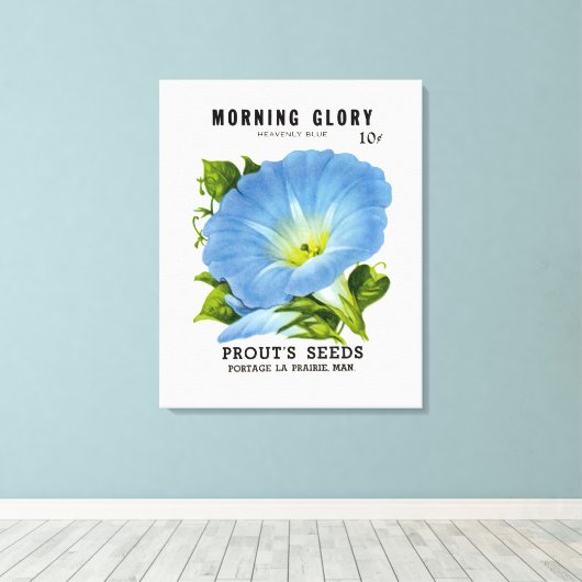 Morning Glory  Seed Packet Canvas Afdruk (Insitu (Houten vloer))