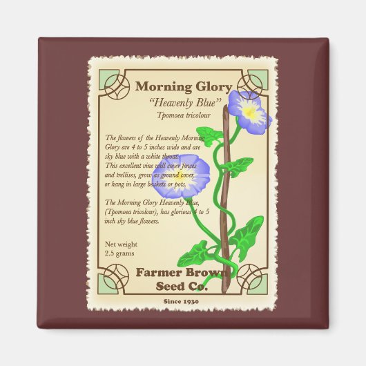 Morning Glory Seed Packet Magneet (Voorkant)