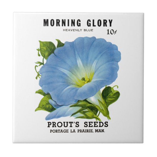 Morning Glory Seed Packet Tegeltje (Voorkant)