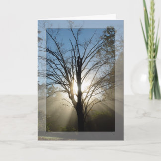 "Morning Glory"-Solstice-kaart Feestdagen Kaart