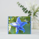 Morning Glory Star Briefkaart (Staand voorkant)