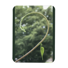 Morning Glory Tendril and Leaf Magnet Magneet
