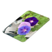 Morning Glory Trio Magneet (Linkerzijde)