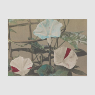 Morning Glory van Ogawa Kazumasa Tissuepapier