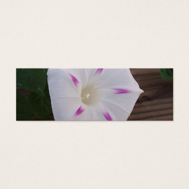 Morning Glory White Bladwijzer Mini Visitekaartjes (Voorkant)