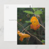 "Morning Glow" Oranje juwelen Briefkaart (Voorkant / Achterkant)