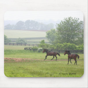 Morning Horses die Mousepad runnen Muismat