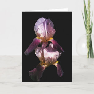 Morning Iris Kaart