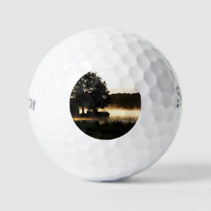 Morning Lake Scene ssf gbcna Golfballen
