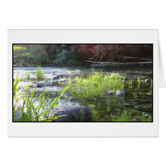 Morning Light op de Cowichan rivier