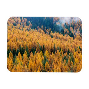 Morning Light op de strand   Tybee Island Magneet