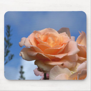 Morning Majesty Muismat