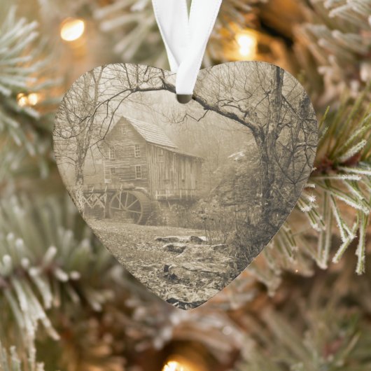 Morning Mist (Arbre)