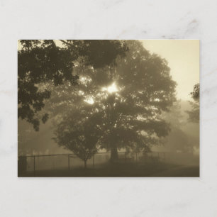 Morning Mist Briefkaart