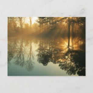 Morning Mist Briefkaart
