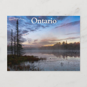 Morning Mist op Beaver Pond in het noorden van Ont Briefkaart