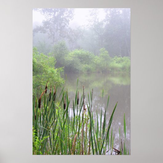 Morning Mist op Pond Poster (Voorkant)