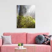 Morning Mist op Rhododendron Canvas Afdruk (Insitu (Woonkamer))