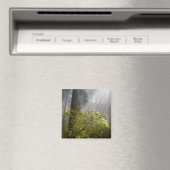 Morning Mist op Rhododendron Magneet (Insitu (Vaatwasser))