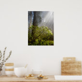 Morning Mist op Rhododendron Poster (Keuken)