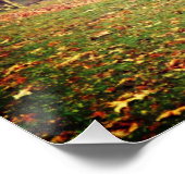 Morning Mist Perfect Poster (Hoek)