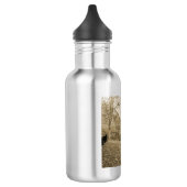 Morning Mist Water Fles (Links)