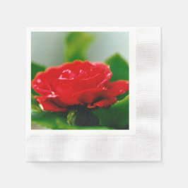 Morning red Rose bedekt met dauwdruppels Servet
