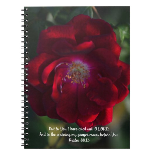 Morning Red Rose Bible Verse Prayer Journal (Devant)