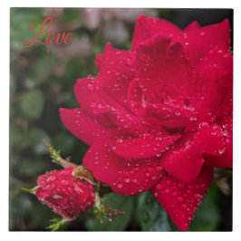 Morning Roos Tegeltje