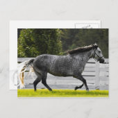 Morning Run Briefkaart (Voorkant / Achterkant)